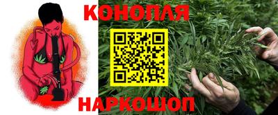 крисы Рязань
