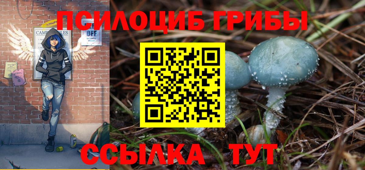 Кодеин  COCAIN  Саратов  ГАШИШ  Вход с VPN  Конопля  Меф МЯУ МЯУ  