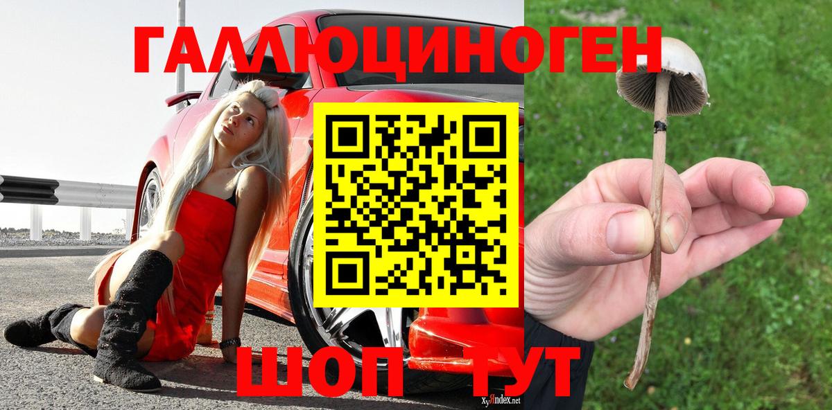 Галлюциногенные грибы MAGIC MUSHROOMS Саратов